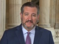 Cruz: Local Officials’ Inaction on Violent Protests ‘Wrong,’ ‘Endangering People’s Lives’