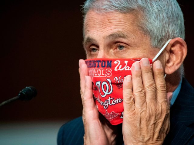 Anthony Fauci, director of the National Institute of Allergy and Infectious Diseases, adjusts a face covering during a Senate Health, Education, Labor and Pensions Committee hearing in Washington, DC, June 30, 2020. - Fauci and other government health officials updated the Senate on how to safely get back to school …