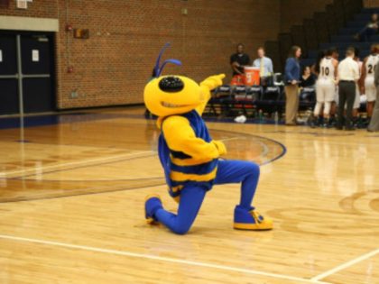 Emory & Henry College Wasp Mascot