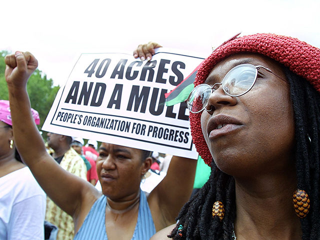 WASHINGTON, DC - AUGUST 17: Andrea Levy (R) from Queens, New York, joins other demonstrators for slave reparations on the National Mall August 17, 2002 in Washington, DC. Hundreds of blacks rallied, saying it is long past time to compensate blacks for the ills of slavery. (Photo by Manny Ceneta/Getty …