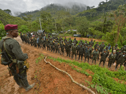Members of the Revolutionary Armed Forces of Colombia (FARC) guerrillas are seen at the "Alfonso Artiaga" Front 29 FARC encampment in a rural area of Policarpa, department of Narino in southwestern Colombia, on January 17, 2017. The UN is overseeing the FARC's disarmament as part of a peace deal the …
