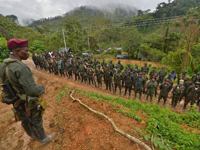 Members of the Revolutionary Armed Forces of Colombia (FARC) guerrillas are seen at the "Alfonso Artiaga" Front 29 FARC encampment in a rural area of Policarpa, department of Narino in southwestern Colombia, on January 17, 2017. The UN is overseeing the FARC's disarmament as part of a peace deal the leftist guerrillas signed with the government to end a more than five-decade conflict. The FARC's 5,700 fighters are now in camps waiting to be transferred to UN-monitored ZVTN transitional zones where they will demobilize and begin their path to civilian life and legality over a period of six months. But the delay in setting up the camps has hindered their transfer to these areas. / AFP / LUIS ROBAYO (Photo credit should read LUIS ROBAYO/AFP via Getty Images)