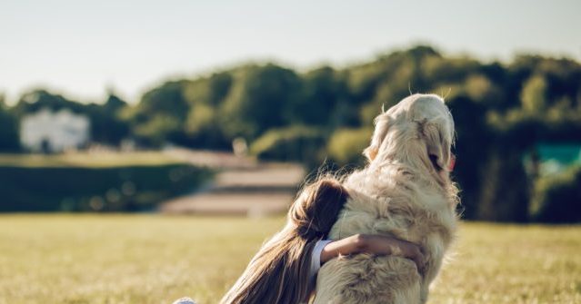 Cost of Pets Soared 7.5%