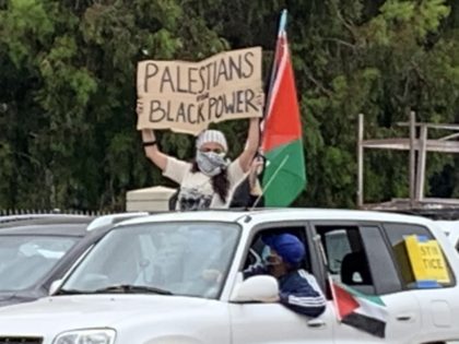 Palestinians for Black Power Sovereigty Protest 3 (Joel Pollak / Breitbart News))