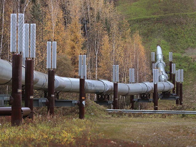 FAIRBANKS, ALASKA - SEPTEMBER 17: A part of the Trans Alaska Pipeline System is seen on Se