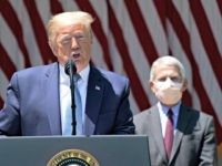 Dr. Anthony Fauci Defends Trump on Coronavirus