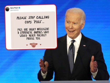 joe-biden-sara-pearl