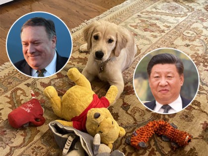 mike-pompeo-xi-jinping-winnie-the-pooh-dog