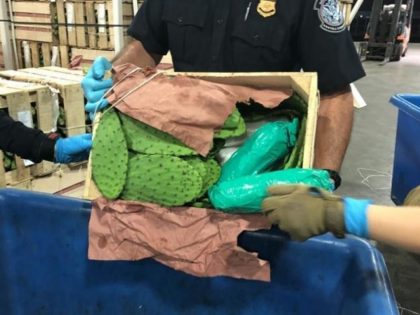 CBP officers at the Otay Mesa commercial port of entry found a ton of methamphetamine in two shipments of cactus coming from Mexico. (Photo: U.S. Customs and Border Protection/San Diego Sector)