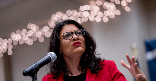 Democrat Rashida Tlaib Accuses Israel of Bombing Gaza Hospital