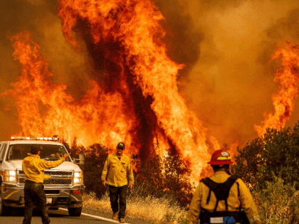 Flames from the LNU Lightning Complex fires leap above Butts Canyon Road on Sunday, Aug. 2