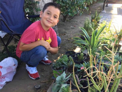 An eight-year-old boy from east Los Angeles, California, started a plant business, Aaron's