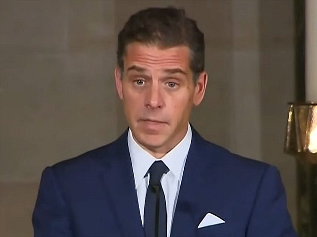 Hunter Biden / clip from DNC August 18, 2020