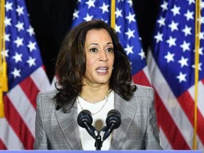 Democratic vice presidential running mate, US Senator Kamala Harris, speaks to the press after receiving a briefing on COVID-19 in Wilmington, Delaware, on August 13, 2020. (Photo by MANDEL NGAN / AFP) (Photo by MANDEL NGAN/AFP via Getty Images)