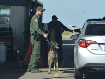 A Border Patrol K-9 begins a search of a passenger vehicle at the Javier Vega, Jr. Immigration Checkpoint on U.S. Highway 77 in South Texas. (File Photo: Bob Price/Breitbart Texas)