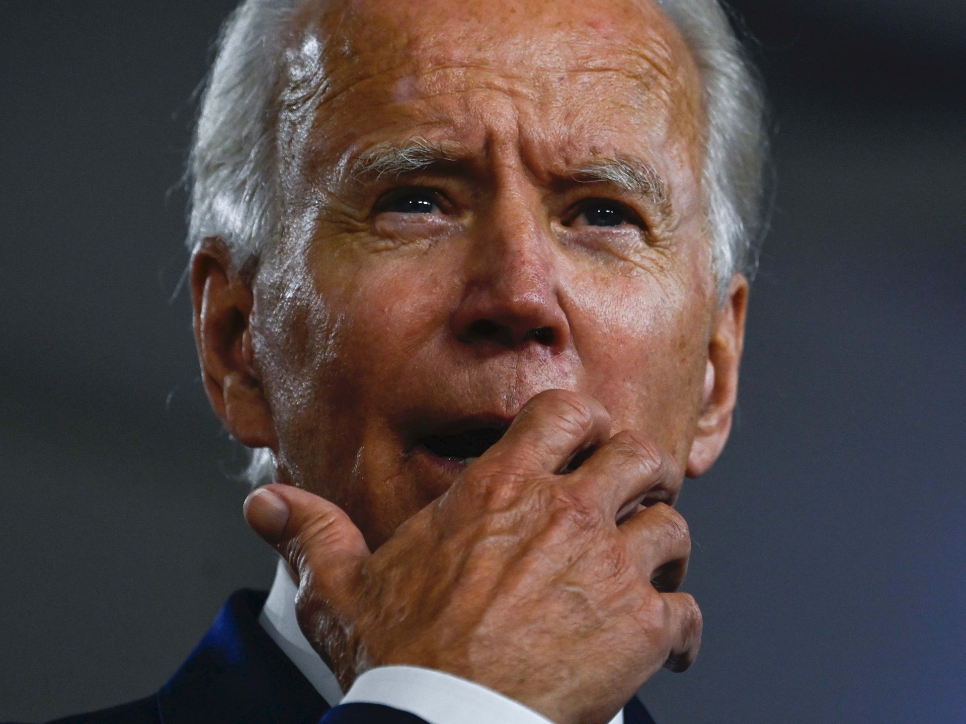 Joe Biden: 'Unlike the African American Community ... the Latino Community Is an Incredibly Diverse Community'