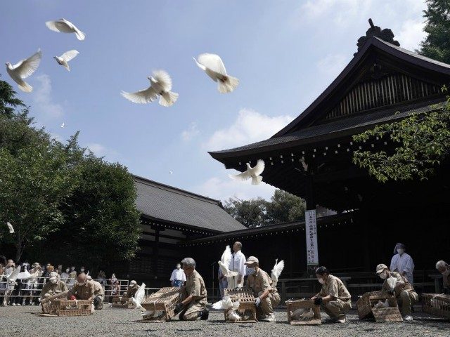 Employees release doves, wishing for the world's peace and paying respects to the war dead