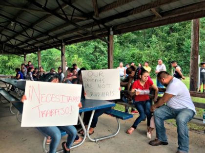 Workers from PH Foods and their supporters hold signs on Tuesday, Aug. 13, 2019 in Morton, Miss., including one that says “We need work!” in Spanish after workers from the chicken processing plant said they were fired. Workers say the plant fired the majority of remaining workers days after federal …