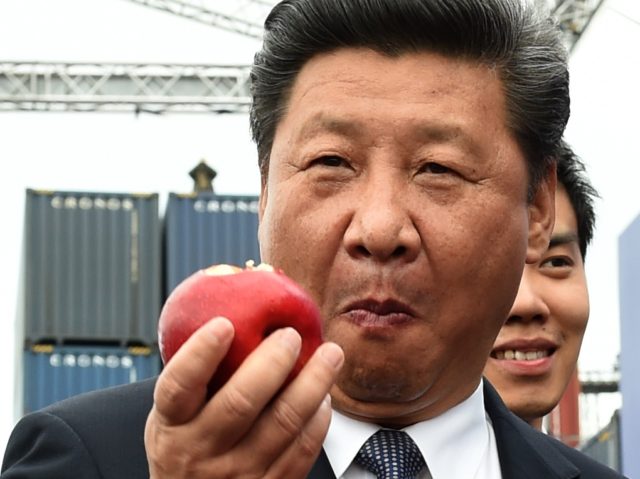 Chinese President Xi Jinping eats a Polish apples as he greets the arrival of the first Ch