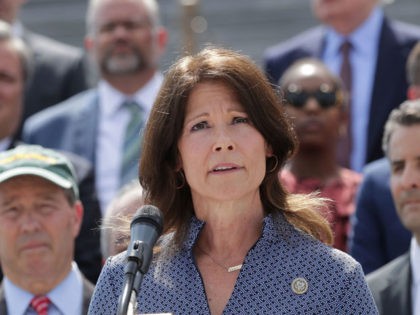 WASHINGTON, DC - MAY 21: Rep. Cheri Bustos (D-IL) joins a group of fellow Democrats and their supporters to introduce a new campaign to retake Congress during a news conference at the U.S. Capitol May 21, 2018 in Washington, DC. The campaign, called 'A Better Deal for Our Democracy,' aims …