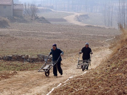 To go with: China-economy-drought-farm,FOCUS by Boris CambrelengFarmers walk between field