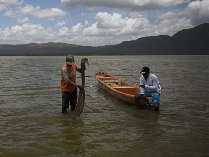 Venezuelan fishermen Jose Orticio, 25 (L) and Guillermo Quiaro, 23, (R) prepare to start fishing in the Unare lagoon in Boca de Uchire village, Anzoategui state, northeast of Caracas on July 26, 2013. In Boca de Uchire the fishing profession is passed from generation to generation and is the main …