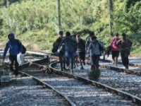 North Macedonia: Police Arrest Driver for People Smuggling After Finding 80 Migrants in Truck