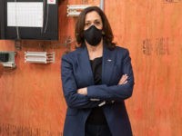 Dereliction of Duty: Kamala Harris Missing in Action as Wildfires Burn Her State
