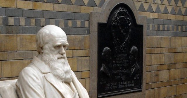 Natural History Museum to Review 'Offensive' Charles Darwin Exhibits