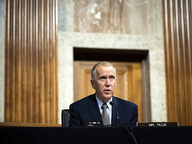 Sen. Thom Tillis, R-N.C., speaks during a Senate Judiciary Committee oversight hearing on Capitol Hill in Washington, Wednesday, Aug. 5, 2020, to examine the Crossfire Hurricane investigation. (Erin Schaff/The New York Times via AP)