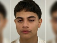 Report: Illegal Alien Arrested for Allegedly Ambushing Arizona Officers