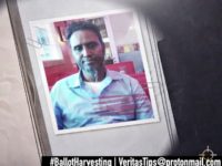 Project Veritas Releases Another Ilhan Omar Video Showing Cash for Votes Harvesting Scheme