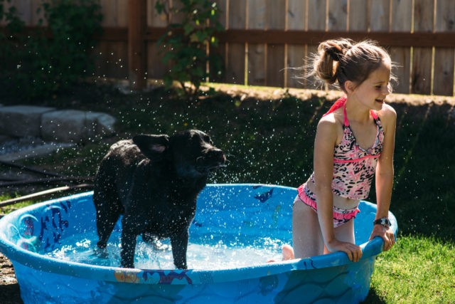 Dog shaking in a kiddie pool with a young girl.