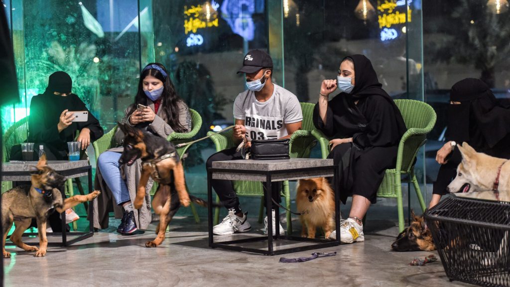 German Shepherds play together as their mask-clad owners (COVID-19 coronavirus pandemic precaution) sit by at the "Barking Lot" cafe in Saudi Arabia's eastern Gulf city of Khobar, 450 kilometres east of the capital, on September 25, 2020. - Dog owners in Saudi Arabia can now enjoy a cup of coffee outside their home alongside their beloved pets in a new cafe -- a first for the ultra-conservative kingdom. The Barking Lot, which opened its doors in June in the coastal city of Khobar, has brought them much relief amid restrictions on animals in public places. Dogs are generally prohibited from walking in public and, unlike cats, are considered unclean in Islam, which originated in Saudi Arabia. (Photo by FAYEZ NURELDINE / AFP) (Photo by FAYEZ NURELDINE/AFP via Getty Images)