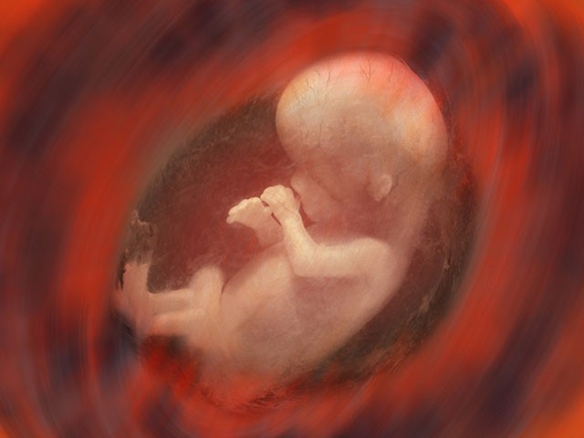 New Polling Dispels Abortion Misinfo, Shows Most Americans Oppose Roe - Vimarsana News