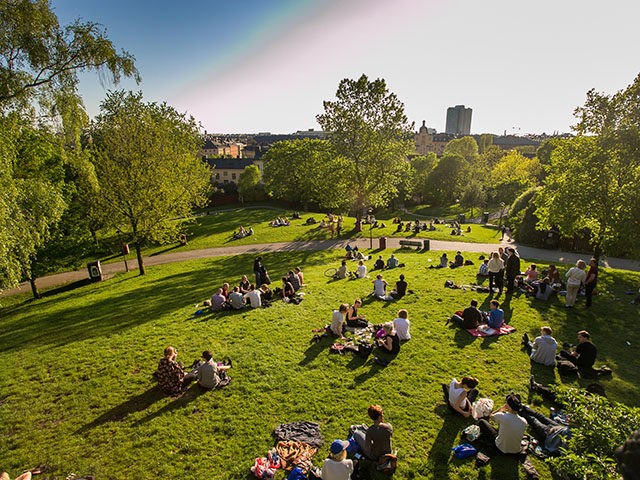 the rest of the people in Sweden are in Stockholm, center city, evening, green grass in the Park, picnic on the lawn