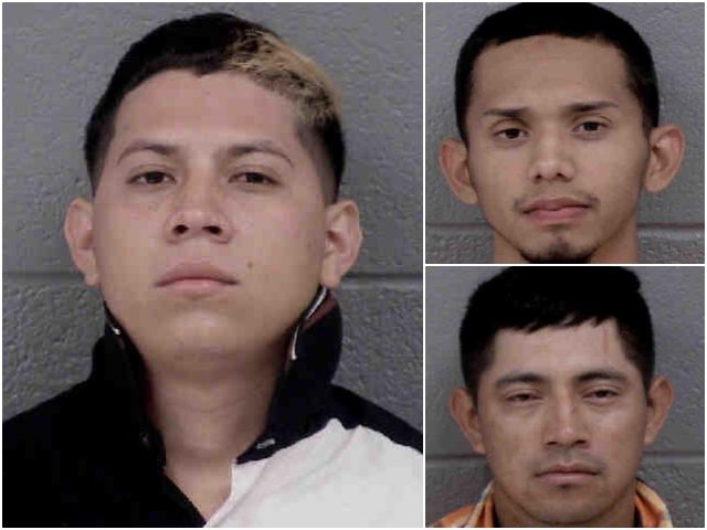 A number of criminal illegal aliens have been arrested by …
