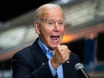 Joe Biden (Roberto Schmidt / Getty)