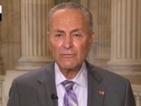 Schumer: It Was an ‘Act of Strength’ to Stop Government Shutdown