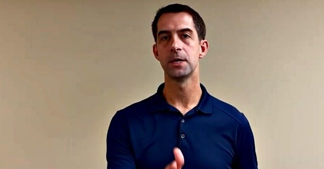 Tom Cotton Creates 'War Room' to Defend Trump's Supreme Court Nominee