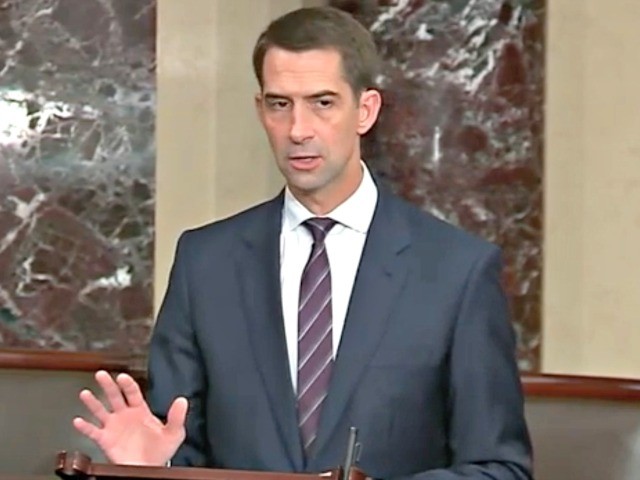 Cotton: Democrats Using Coronavirus 'as an Excuse to Fill a Lot of Longstanding Liberal Priorities'
