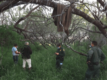A t-shirt hanging in a tree branch marks the spot were officials found the remains of a migrant on a Texas ranch 80 miles north of the Mexican border. (Brooks County Sheriff's Office/Deputy Jose Garcia)