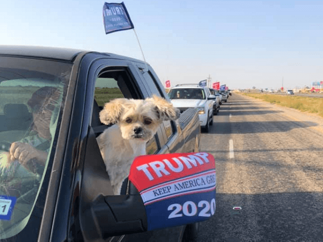 Trump Truck Rally in Lubbock, Texas. (Facebook Photo: Damian Castillo)