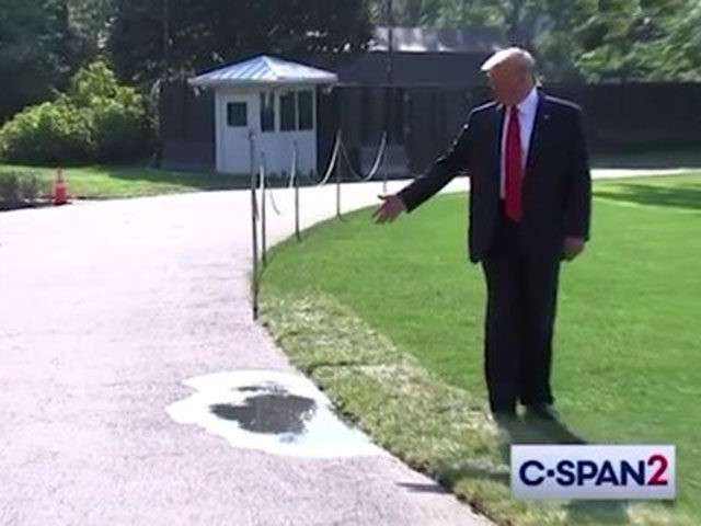 FACT CHECK: Trending Clip of Trump Pointing to Puddle Lacks Context