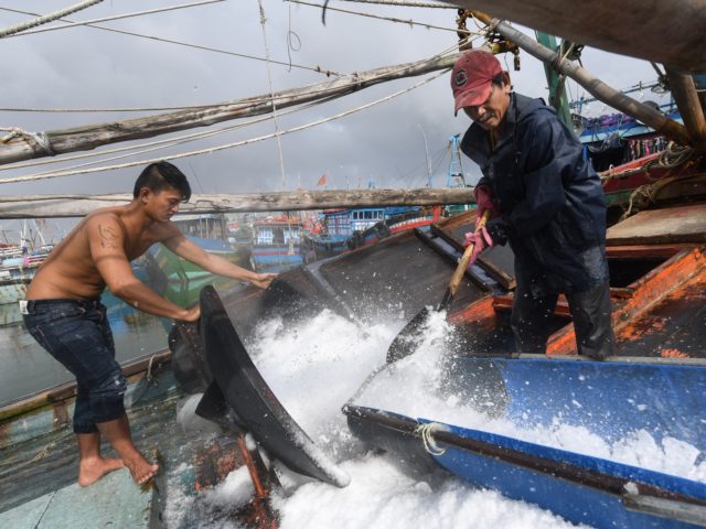 Workers shovel ice onboard a fishing boat at a port in the central Vietnamese city of Dana