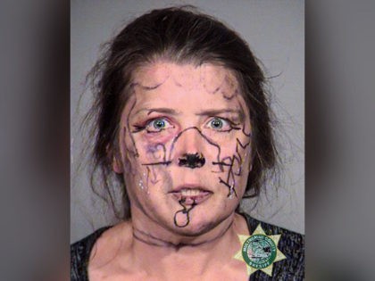 Portland Mugshots: Several Arrestees, Including Serial Offenders, Released