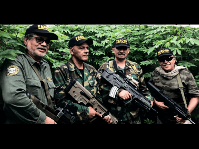 Revolutionary Armed Forces of Colombia (FARC) guerrilla