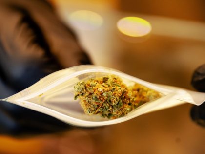 This photograph taken on April 22, 2019, shows a type of cannabis in a bag at Cremers Coffee Shop in The Hague. - In the Netherlands, an experiment with state-regulated marijuana cultivation is starting. The aim of the experiment is to show whether "weed" can be removed from crime, but …