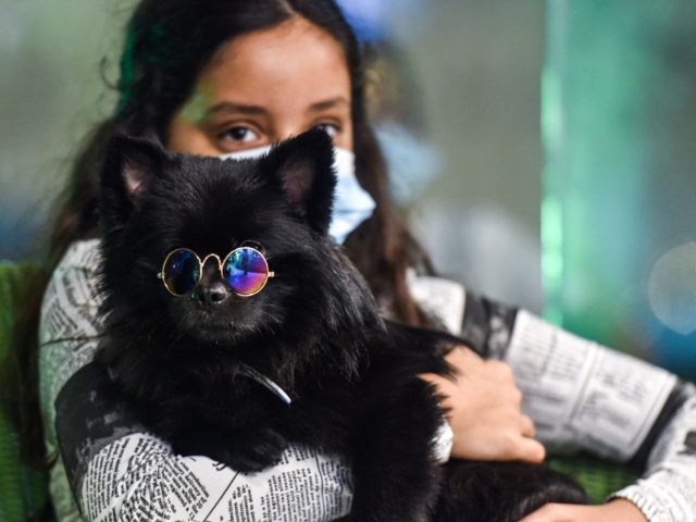 A girl holds her dog at the "Barking Lot" cafe in Saudi Arabia's eastern Gulf city of Khob