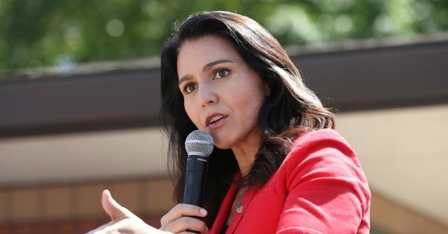Gabbard: Democratic Party ‘an Elitist Cabal of Warmongers — Corrupt Politicians, Propaganda Media, Big Tech and the National Security State’